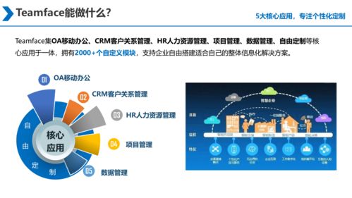 大型集团企业需要购买企业信息化系统的源代码,回去进行二次开发或多次开发吗